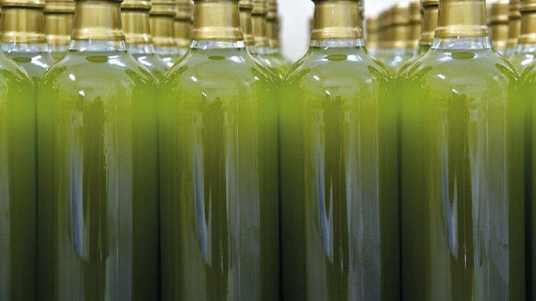 Differenza di qualità dell’olio d’oliva in bottiglie di vetro scuro, di plastica o di latta